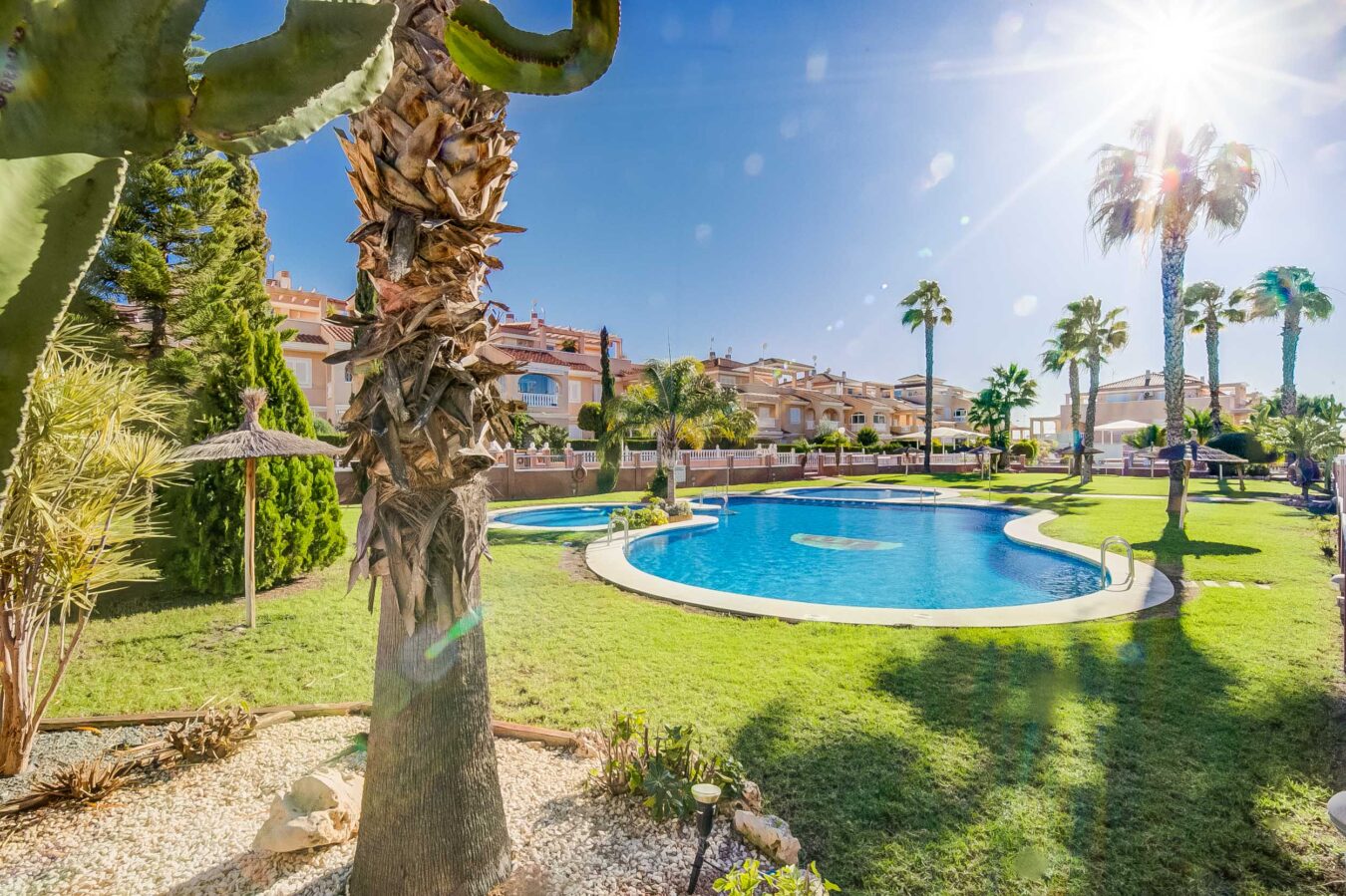 palmer og solbeskinnede ferielejligheder i Zeniamar.|Udsigt til det unikke rosa vand i Zeniamar-søen